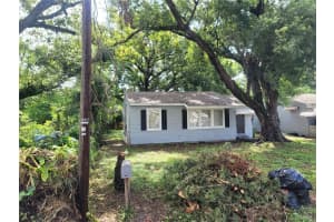 8513 N Dexter Ave, TAMPA