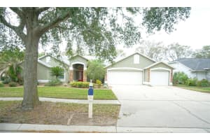 3807 Turkey Oak Dr, VALRICO