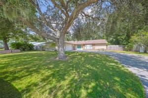 103 Windy Cir, BRANDON