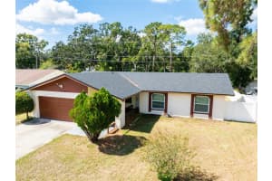 13908 Capitol Dr, TAMPA 13908 Capitol Dr, TAMPA