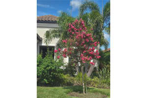 2700 Westchester Dr N, CLEARWATER 2700 Westchester Dr N, CLEARWATER