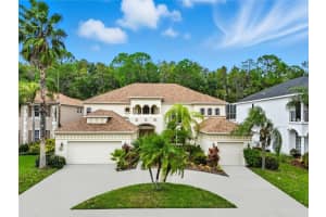 3453 Loggerhead Way, WESLEY CHAPEL