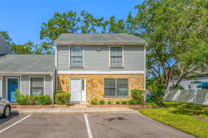 14809 Winding Creek Ct, TAMPA