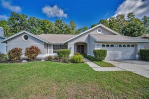 3351 Jadewood Cir, TARPON SPRINGS