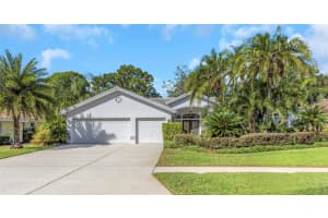 1130 Kings Way Ln, TARPON SPRINGS