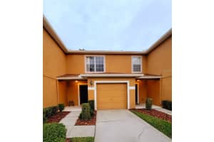 4307 Winding River Way, LAND O LAKES 4307 Winding River Way, LAND O LAKES