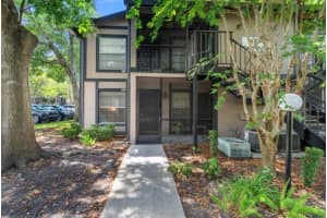 4004 Dream Oak Pl #102, TAMPA