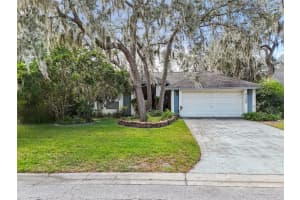 4103 Kipling Ave, PLANT CITY