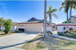 10825 Venice Cir, TAMPA 10825 Venice Cir, TAMPA