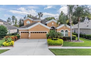 19402 Autumn Chase Ct, LAND O LAKES 19402 Autumn Chase Ct, LAND O LAKES