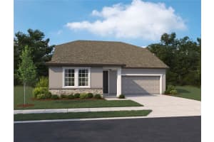 10175 Hidden Hammock Loop, PARRISH