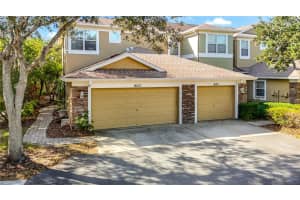 8123 Stone Path Way, TAMPA