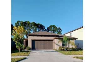 253 Rain Lily Ave, SPRING HILL