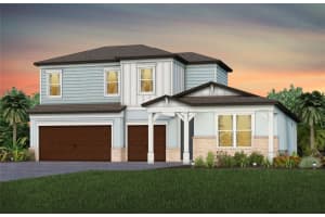 6888 Gilly Shadow St, WESLEY CHAPEL