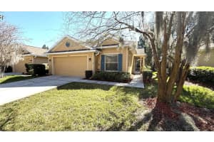 8906 Iron Oak Ave, TAMPA 8906 Iron Oak Ave, TAMPA