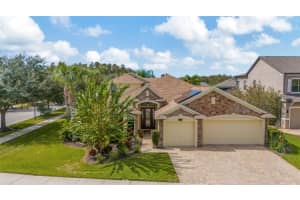 19361 Yellow Clover Dr, TAMPA