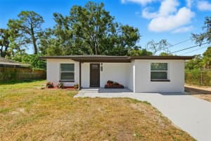 8904 Tupelo Dr, TAMPA