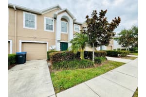 4518 Ashburn Square Dr, TAMPA 4518 Ashburn Square Dr, TAMPA