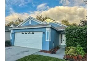 8434 Hawbuck St, TRINITY 8434 Hawbuck St, TRINITY