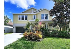14256 Blue Dasher Dr, RIVERVIEW