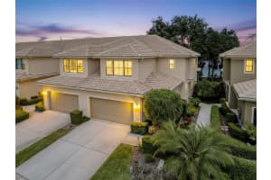 2539 Silverback Ct, PALM HARBOR 2539 Silverback Ct, PALM HARBOR