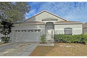 24925 Vintage Ct, LUTZ