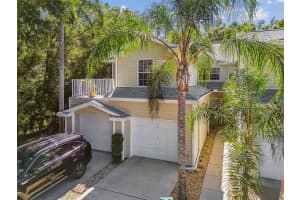 1627 Hammocks Ave, LUTZ 1627 Hammocks Ave, LUTZ