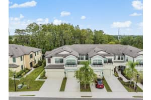 9248 Fox Sparrow Rd, TAMPA