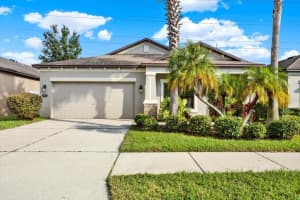 4706 Woods Landing Ln, TAMPA