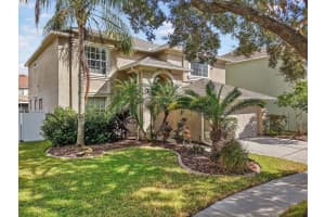 19333 Aqua Springs Dr, LUTZ