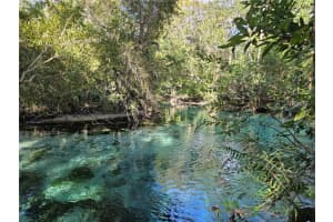 7505 Jomel Dr, WEEKI WACHEE 7505 Jomel Dr, WEEKI WACHEE