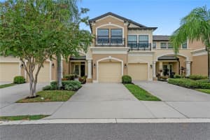 11506 Crowned Sparrow Ln, TAMPA