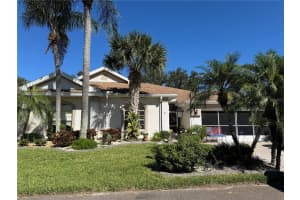 2305 Olive Branch Dr, SUN CITY CENTER