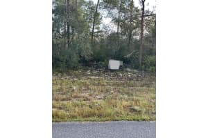 17213 Sw 28th Ave, OCALA