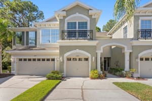 14137 Waterville Cir, TAMPA