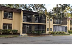 14107 Mossy Glen Ln #102, TAMPA