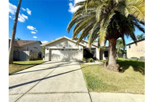 8723 Imperial Ct, TAMPA 8723 Imperial Ct, TAMPA