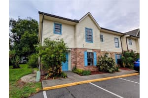 3919 Carroll Pines Ct, TAMPA