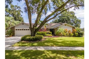 222 Halton Cir, SEFFNER 222 Halton Cir, SEFFNER