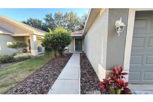 11708 Crest Creek Dr, RIVERVIEW