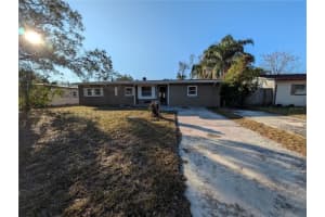 1817 Meridel Ave, TAMPA