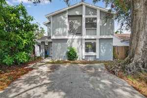 10408 Rosemount Dr, TAMPA