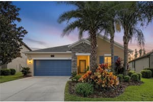 19210 Alexandrea Lee Ct, LAND O LAKES 19210 Alexandrea Lee Ct, LAND O LAKES