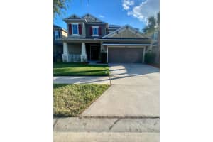 8838 Citrus Palm Dr, TAMPA