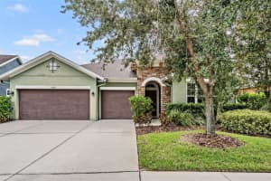 6908 Covington Stone Ave, APOLLO BEACH