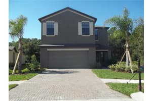 20014 Date Palm Way, TAMPA 20014 Date Palm Way, TAMPA