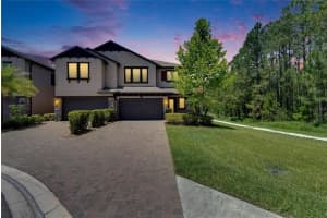 4899 Isola Ct, WESLEY CHAPEL