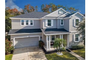 6942 Rocky Canyon Way, TAMPA