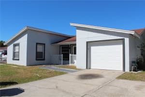 10115 Wheatley Hills Ct, TAMPA