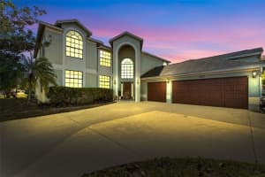 11429 Zenith Cir, TAMPA